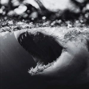 Meet your Posher, Becky